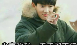 吃瓜娱乐圈cp粉是谁啊,揭秘“吃瓜”背后的神秘力量